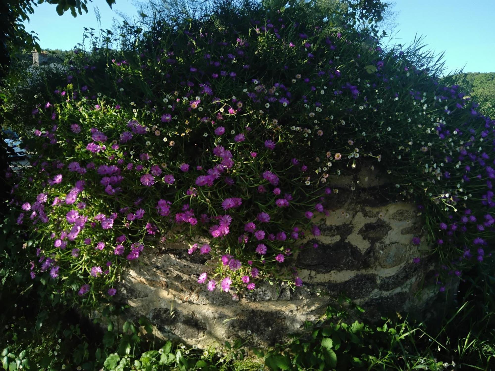 La Chambre Du Grand Val Caden 外观 照片